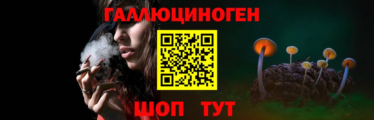 хочу наркоту  Псилоцибиновые грибы прущие грибы  Вход с VPN  Рязань 